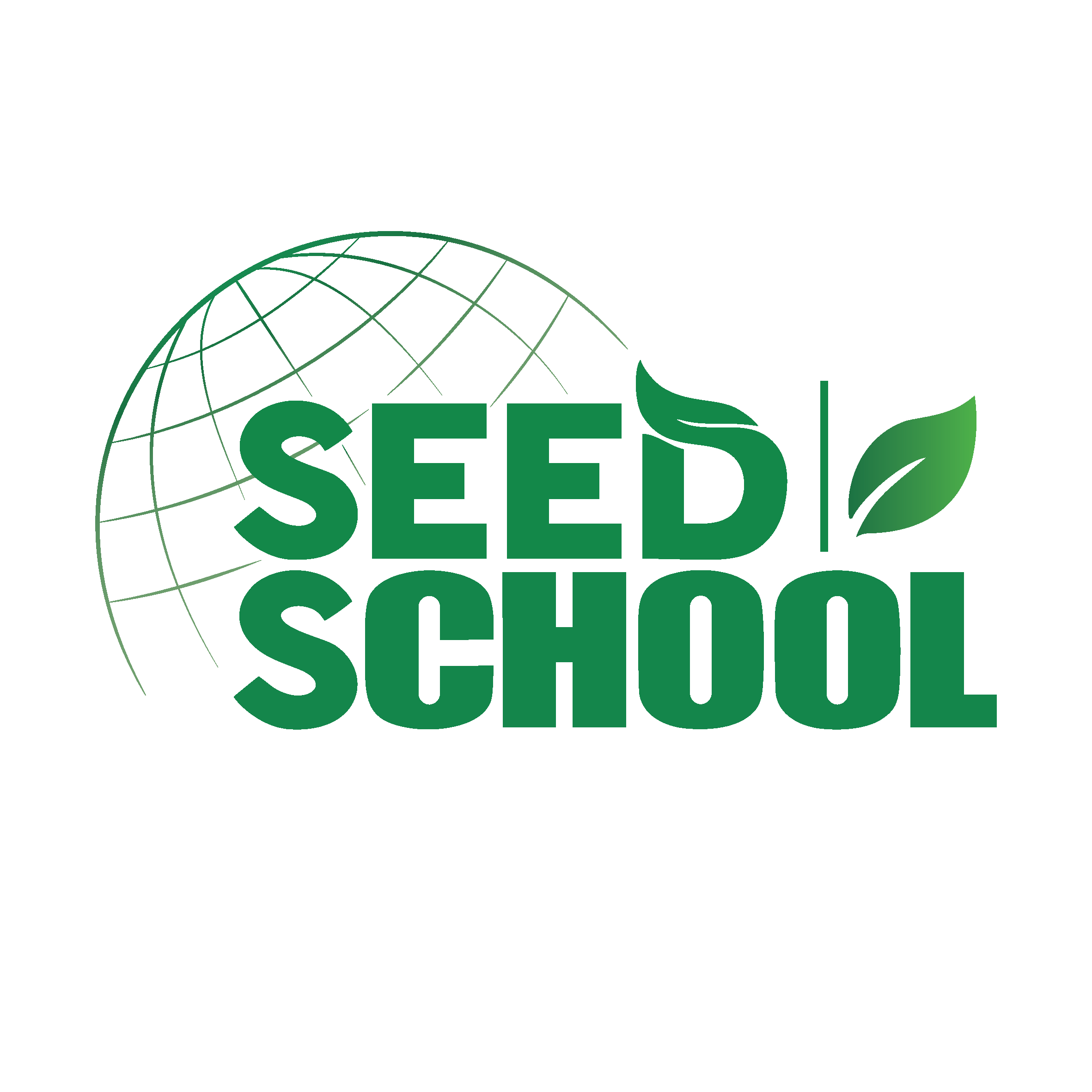 SEED SCHOOL — логотип частной школы